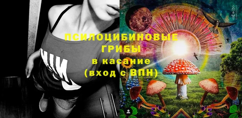 кракен tor  Алдан  Галлюциногенные грибы Psilocybe 